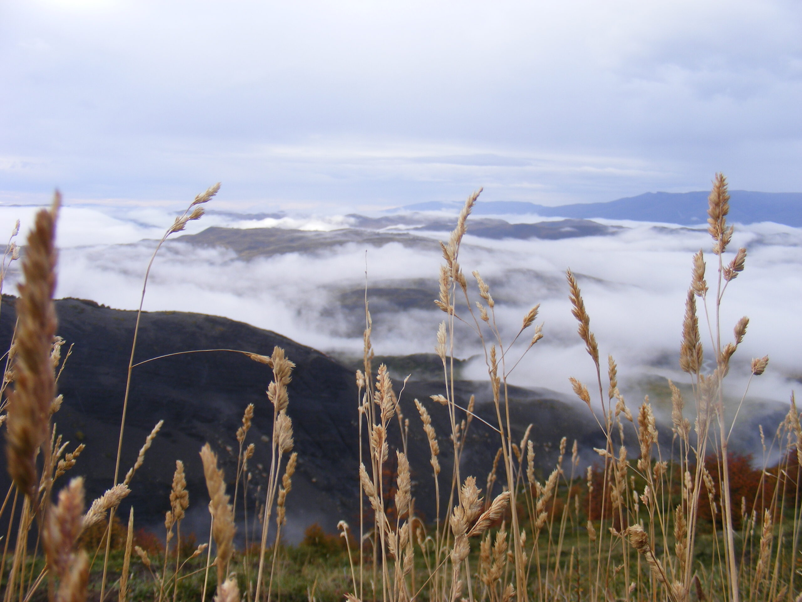 LANDING W & CIRCUIT TREKS